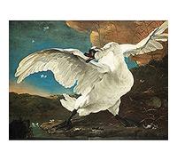 Asselijn The Threatened Swan Painting Art Print Canvas Premium Wall Decor Poster Mural