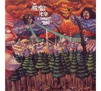 Assemble Head In Sunburst Sound - Ekranoplan [VINYL]