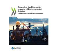 Assessing the economic impacts of environmental policies: evidence from a decade of OECD research