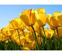 Assisi, the spiritual City