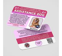 Assistance Dog Card in Pink AD29 with Lanyard and Cardholder