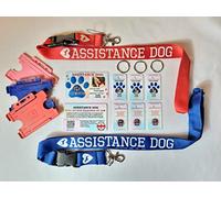 Assistance Dog UK Law Support Card Bundle with 3 Personalized Dog Tags and Blue Lanyard - Equality Act Reference