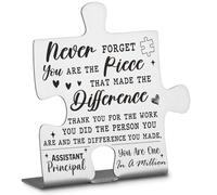 Assistant Principal Appreciation Gifts, Thank You Gifts for Assistant Principal Week Birthday Christmas Team Office Ornament Decor Stainless Steel Puzzle Piece Decorative Signs Plaques Ann15