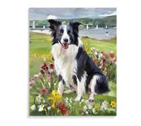 ASSKQMY DIY Paint by Numbers Border Collie Dog with Acrylic Painting Kit, 12x16 Inch (30x40cm) Frameless, Adults & Kids, Unisex, Realistic Style, Non-Foldable