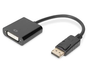 Assmann 340409 LCD/Display Port Adapter Cable DisplayPort to DVI 24 + 5) Pin Mal