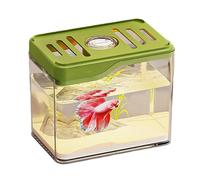 Associf Desktop Fishing - Fish-Freshwater 12x8x10cm and | Decorative Aquarium with Colorful LED Lights, Gift for Family, Friends, Colleagues | Office, Home, T Display