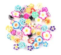 Assorted 50 Pack Tropical Flower Resin Charms Hawaiian Bali Plumeria Plastic Cabochons Flatback Beads for Miniature Fairy Garden Accessories Scrapbooking Home Decor Supplies