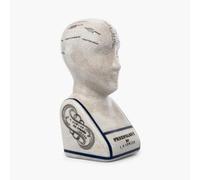 Assorted Collections Phrenology Head Ceramic Ornament Collectable Retro Bust 16cms Crackle L N Fowler