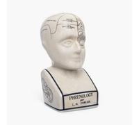 Assorted Collections Phrenology Head - Ceramic Ornament Collectable Retro Bust - Glaze finish - Doctor’s desk - LN Fowler -Fortune Telling Statue - Brain senses 28CMs - White
