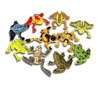 Assorted Colorful Frogs Party Pack - 8 Pieces - Perfect For Kids' Birthday Party & Events