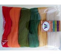 Assorted Colours* 100% Merino Wool Tops for Wet & Dry Felting, Roving Wool Tops, Packs of 60 Grams (Autumn 60 g)