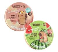 Assorted Flavour Mint Candy 16 g - Pack of 2 | Watermelon & White Peach | Refreshing Sugar Free Mints with Mixed Flavours | Contain Vitamin C | Pocket-Size Breath Freshener Candy (Pack of 2)
