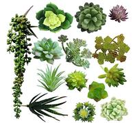 Assorted Green Artificial Succulent Plants Faux Fake Succulents Textured Cactus Stems Cacti Aloe Succulent In Different Artificial Hanging String of Pearls Plant For Wedding For Home Decor(14pcs)