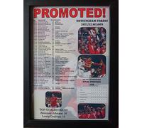 Assorted Nottingham Forest promoted from Championship 2022 - framed print
