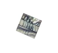 Assorted Selected Abalone Shell Blanks Flat Inlay Violin Bow Frog Luthier Supplies Abalone Slides(Color:5PCS)