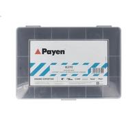 Assortment, oil drain plugs PAYEN HL5192 for ARO 10 1.6 1986-1999