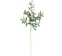 ASSR 5PCS Artificial Olive Branches, 5Pcs Simulation Blackish Green Olives Leaves Long Stems Faux Greenery Plants Fake Eucalyptus Foliage Bouquets for Indoor Outside Home Wedding Vase Decor