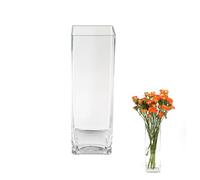 ASSRECT Square Glass Vase 25cm, Modern Thickened Hand-Blown Crystal Clear Flower Vase for Minimalist Home Decor, Wedding Centerpieces & Office Table Arrangements