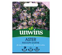 Aster Rudolph Goethe