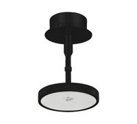 Asteria Spot Black