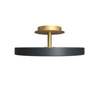Asteria Up Ceiling Light Medium Ø43 Anthracite