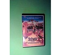 Asterix und die Wikinger
