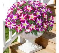 ASTNIC 4 Bundles 20" Long Stem Artificial Flowers for Outdoor, UV Resistant Morning Glory Fake Plants Silk Flowers, Faux Greenery Plastic Petunia Fake Flowers for Garden, Vase, Patio, Home Decoration