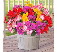 ASTNIC 8 Bundles Artificial Flowers Outdoor UV Resistant Fake Plastic Plants Decorative Realistic Artificial Silk Colorful Flowers for Outside Garden Window Box Wedding Party Spring Summer Decor
