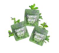 ASTOFLI Flavoured Inner Filter Packs: Spear Mint Series Flavoured Breathlace Tube Breathing Necklace with Resistance Filter Calm Breathlace Stop Stress Necklaces Anxiety Relief Breathe Pendant