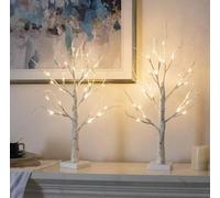 Aston Set of 2 Trees with Lights, 2FT/60cm, 24 Warm White LEDs USB & Battery Operated Birch tree Desk Light Festive Tree Decoration for Easter Xmas Home Party Tabletop Wedding Bedside Lamp