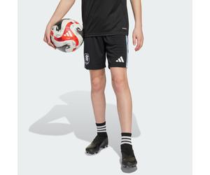 Aston Villa FC 25/26 Away Shorts