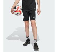 Aston Villa FC 25/26 Away Shorts Kids