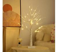 Aston White Trees with Lights, 2FT/60cm, 24 Warm White LEDs USB & Battery Operated Birch tree Desk Light Table Festive Tree Decoration for Easter Xmas Home Party Tabletop Wedding Bedside Lamp