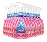 Astonish Anti-Bacterial Pomegranate & Raspberry Scent Surface Cleanser Spray 750ml Special Aromatic Edition Multi-Purpose Powerful Household Cleaner for Kitchen, Bathroom & All Surfaces Pink x12