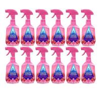 Astonish Antibacterial Surface Cleanser Pomegranate & Raspberry 750Ml X 12