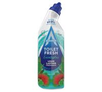 Astonish Eucalyptus Toilet Fresh Gel, Kills 99.9% of Bacteria, Limescale Prevent