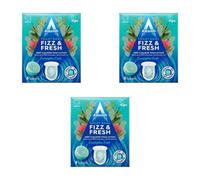 Astonish Fizz & Fresh Toilet Bowl Tablets Eucalyptus Fresh 8 Tablets - Pack Of 3