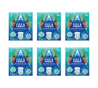 Astonish Fizz & Fresh Toilet Bowl Tablets, Eucalyptus Fresh, 8 Tablets, Pack of 6
