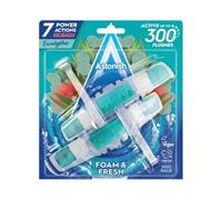 Astonish Foam & Fresh Toilet Blocks, Pack of 2 Eucalyptus, Size 2 Pack | Charlies