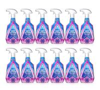 Astonish Oxy Active Fabric Stain Remover 750Ml - Pack Of 12