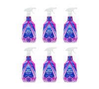 Astonish Oxy Active Fabric Stain Remover Spray, Pink Blossom 750Ml - Pack Of 6