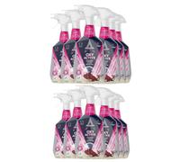Astonish Oxy Active Foaming Carpet Stain Remover 12 X 750Ml