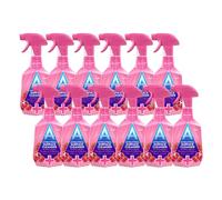 Astonish Special Aromatic Edition Multi-Purpose Anti-Bacterial Surface Cleanser Spray, Pomegranate and Raspberry Scent, 12 X 750ml