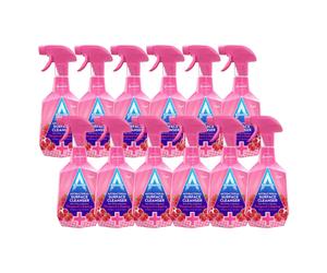 Astonish Special Aromatic Edition Multi-Purpose Anti-Bacterial Surface Cleanser Spray, Pomegranate and Raspberry Scent, 12 X 750ml