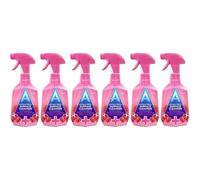 Astonish Surface Cleanser, Pomegranate and Raspberry, 750ml, Pack of 6