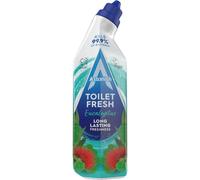 Astonish Toilet Fresh Gel, Eucalyptus, 750ml