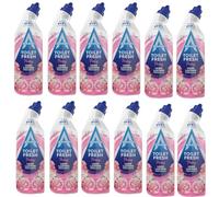 Astonish Toilet Gel Pink Peony 750ml X12- Powerful Toilet Bowl Cleaner, Removes Limescale & Stains, Long-Lasting Fresh Floral Scent, Deep Cleaning Toilet Gel for Hygiene & Shine, Eco-Friendly Formula