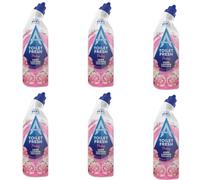 Astonish Toilet Gel Pink Peony 750ml X6- Powerful Toilet Bowl Cleaner, Removes Limescale & Stains, Long-Lasting Fresh Floral Scent, Deep Cleaning Toilet Gel for Hygiene & Shine, Eco-Friendly Formula