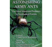 Astonishing Army Ants: The Most Important Predators in Neotropical Forests