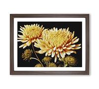 Astonishing Chrysanthemum Flowers BLK Framed Print | A3 Walnut Framed Wall Art | Ready to Hang | Modern Floral Picture | Living Room Bedroom Lounge Office